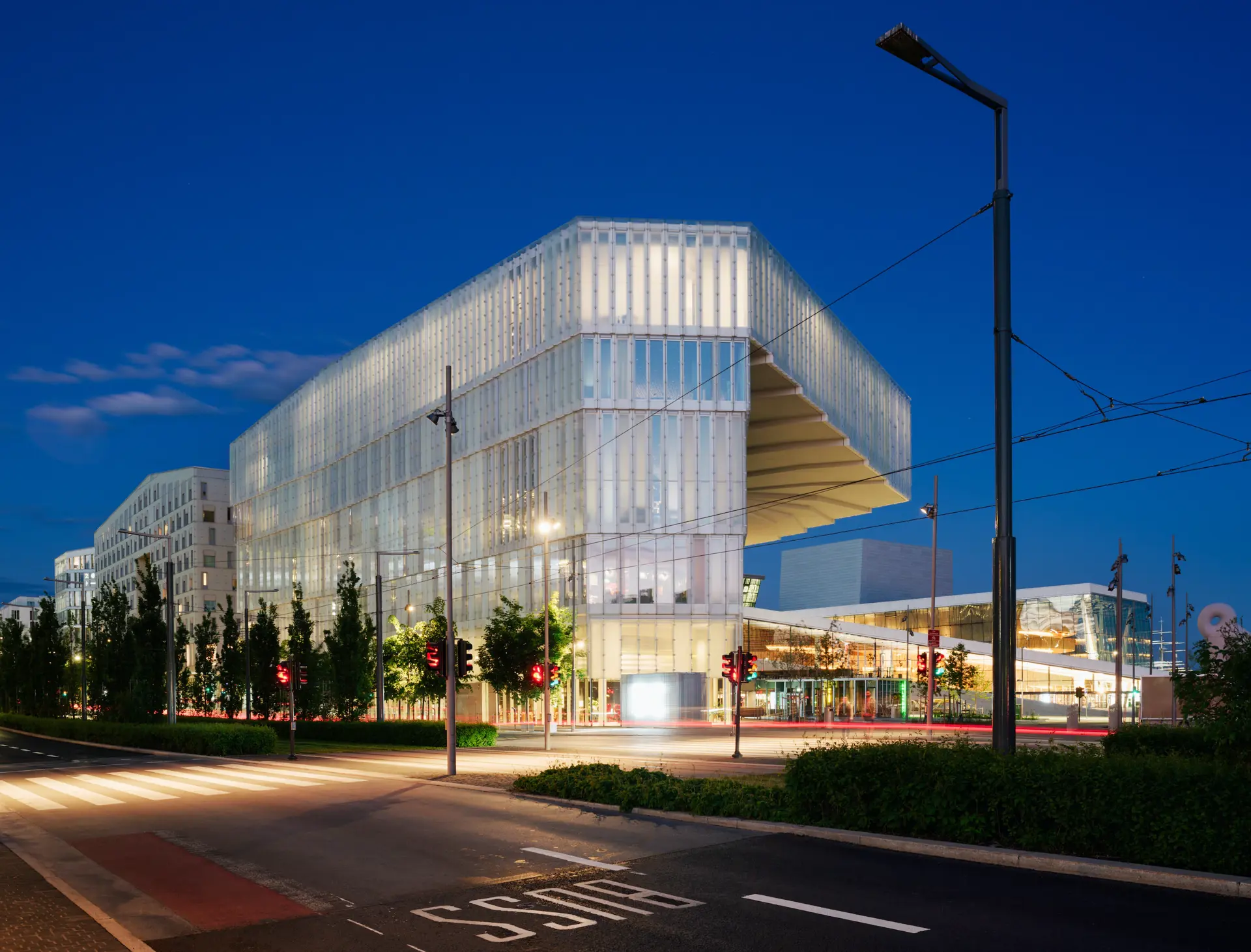 Årsmøte i Aktiv med Diagnose